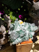 Green Phantom Quartz with Healer Quartz