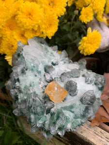 Green Phantom Quartz with Healer Quartz