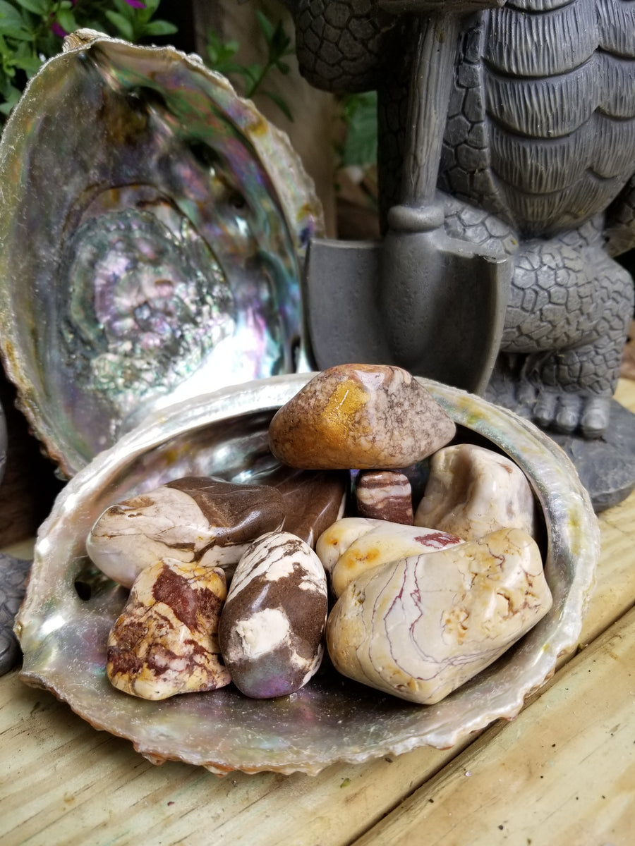 Zebra Jasper Tumbled Stone – Dragon's Den Crystals & Stones